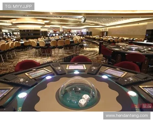 澳门黄金国际首页：揭秘网赌行业热门平台的盛况与策略