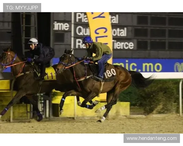 2026年澳门赛马比赛时间安排全攻略,掌握赛程安排提升投注胜率