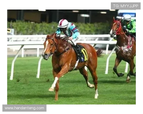 在hkjc官方网站上学习赛马投注技巧，轻松应对各种投注场景与风险控制