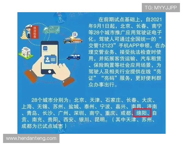 大阳城登陆遇到问题怎么办详细解决方案全方位解析