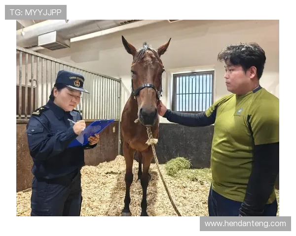 赛马会地址平台最新官方入口地址全面介绍,帮助玩家快速找到正规投注渠道 赛马会地址平台最新官方入口地址全面介绍,帮助玩家快速找到正规投注渠道